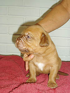 Female 2 - 16 days